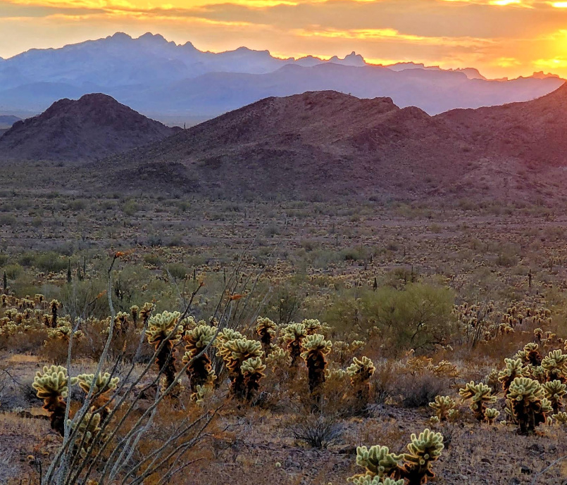 US-0177 Kofa National Wildlife Refuge