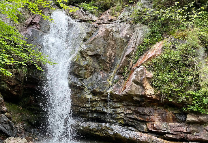 US-1049 Oak Mountain State Park