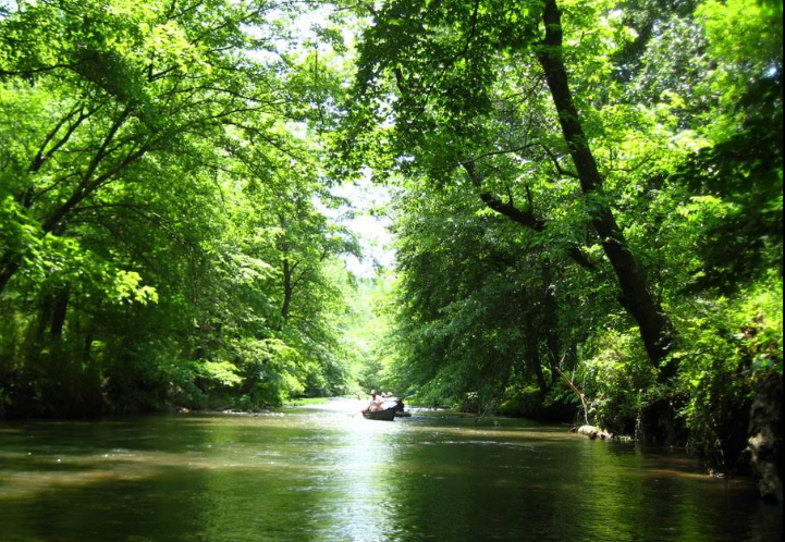 US-11027 Big Canoe Creek Nature Reserve