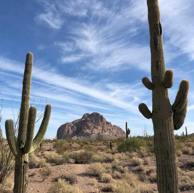 US-11046 Eagletail Mountains Wilderness Area