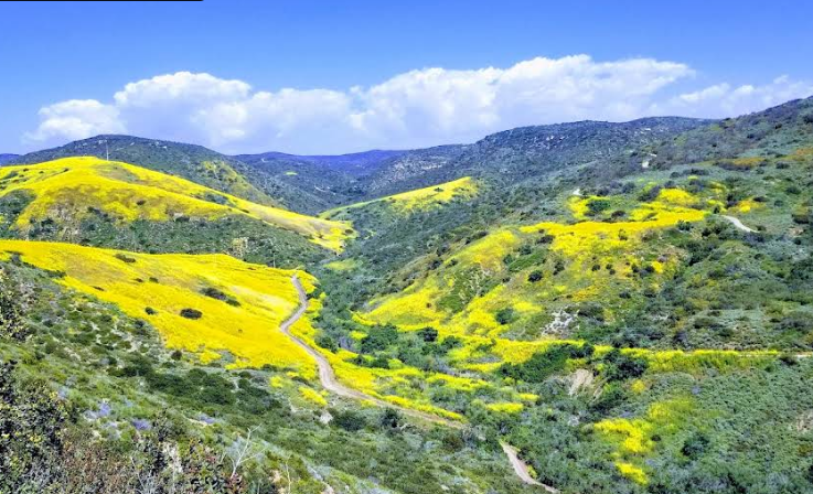 US-1141 Crystal Cove State Park