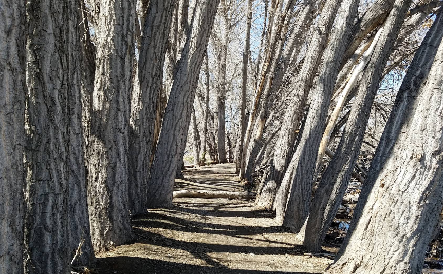 US-1209 Barr Lake State Park