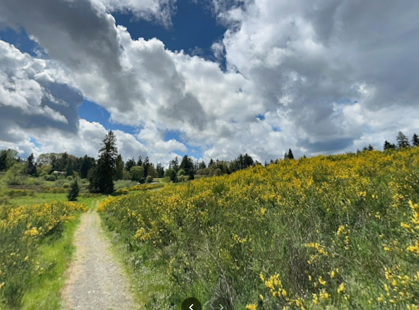 US-12564 South Puget Sound State Wildlife Area