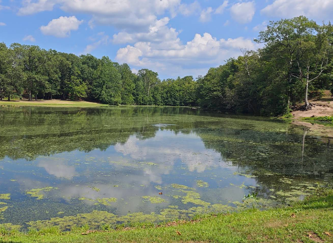 US-1728 Wharton Brook State Park