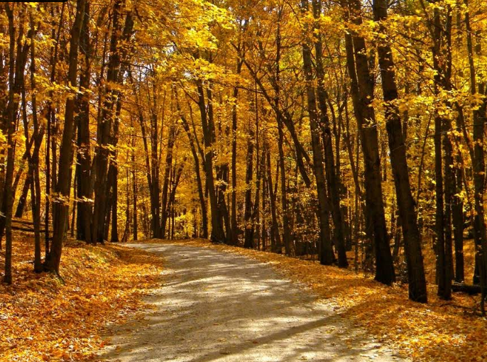 US-2504 Lake Maria State Park