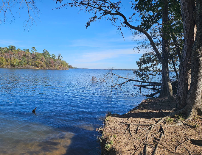 US-3023 Lake Bob Sandlin State Park