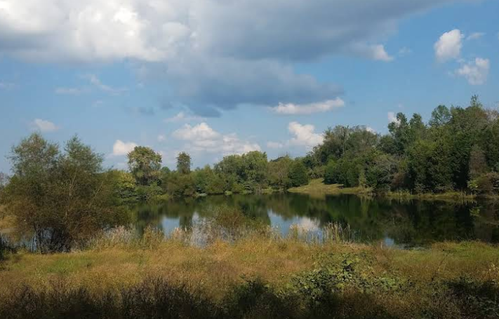 US-3825 Miller Welch Wildlife Management Area
