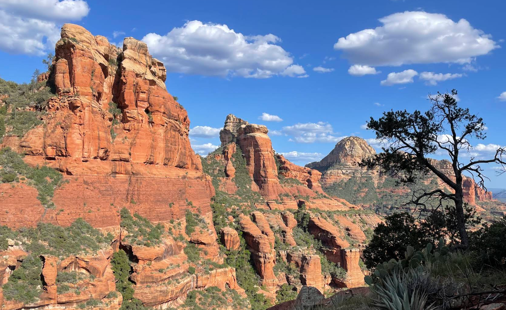 US-4428 Coconino National Forest