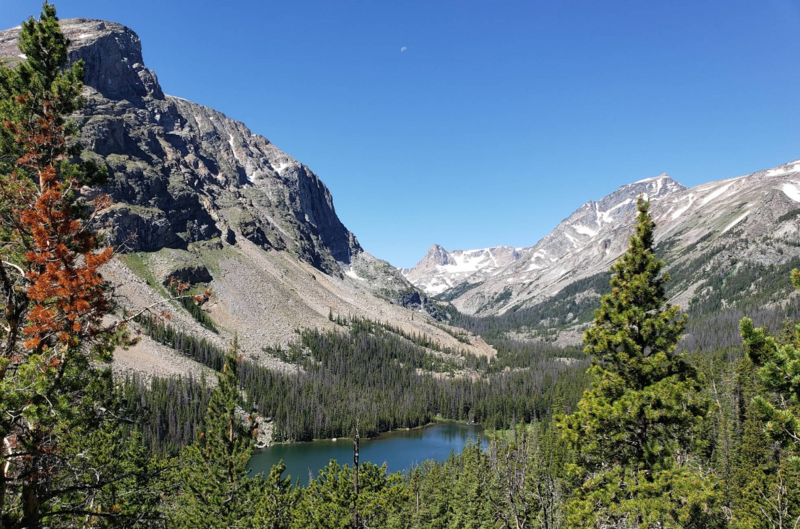 US-4501 Custer Gallatin National Forest
