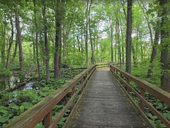 US-9047 Great Baehre Swamp Wildlife Management Area