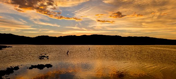 alamo-lake-state-park-az.jpg