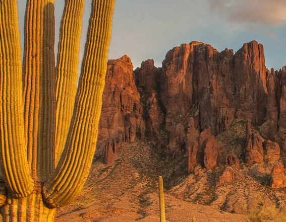 US-1061 Lost Dutchman State Park