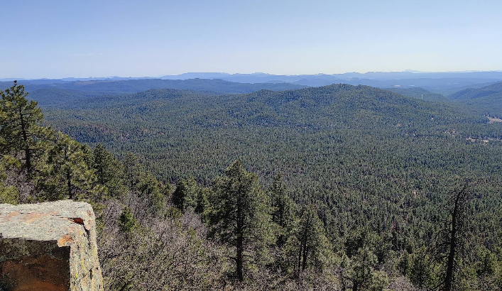 US-4427 Apache-Sitgreaves National Forest
