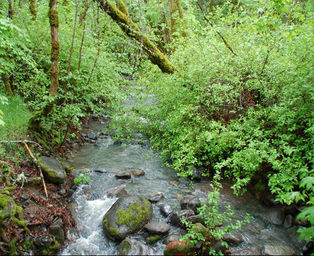 US-1131 Bothe-Napa Valley State Park