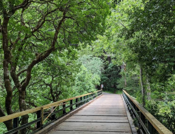 US-1195 Samuel P. Taylor State Park