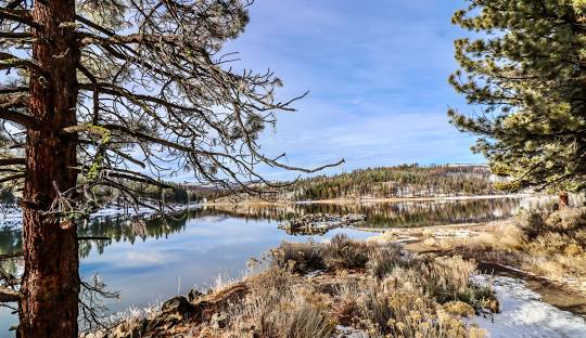 US-4462 Plumas National Forest