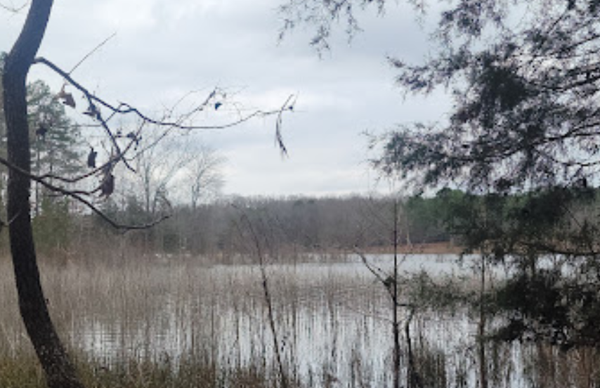 US-2554 Trace State Park