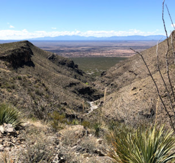 US-2709 Oliver Lee Memorial State Park