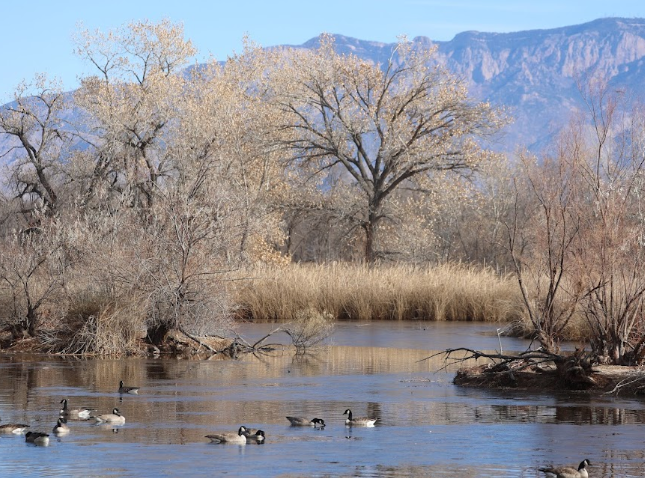 US-2712 Rio Grande Nature Center State Park