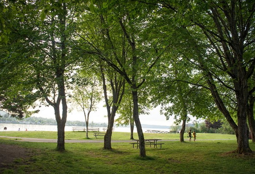 pasted_image001.png
